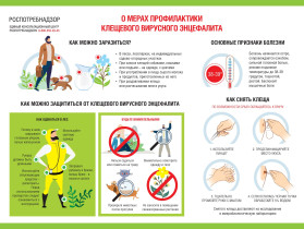 Профилактика клещевого энцефалита.